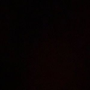 Meet your Posher, Freddie